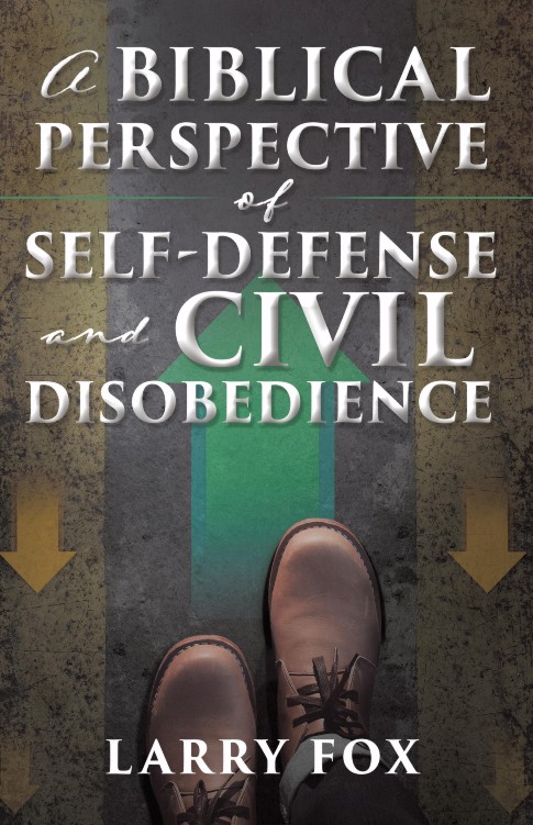 A Biblical Perspective book cover